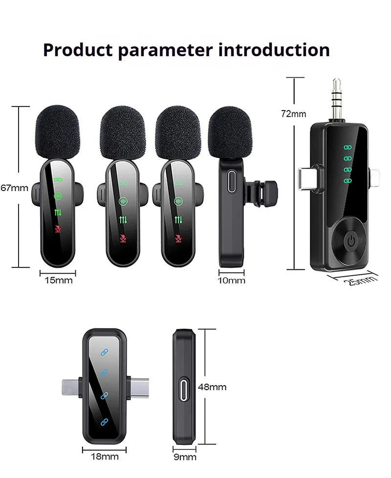 Wireless Mic Set
